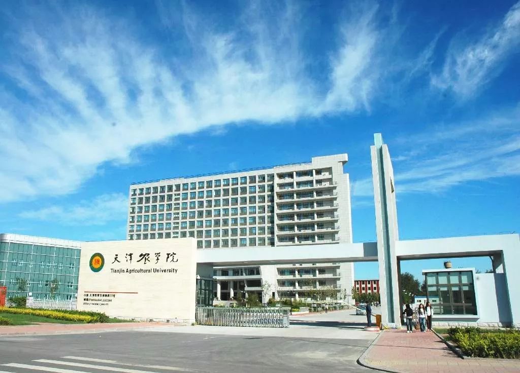 天津市大学软件学院:培养高素质软件人才的摇篮