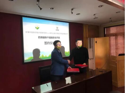 青岛言鼎药用植物干细胞与中国中医科学院中药研究所达成合作,朋友圈扩容