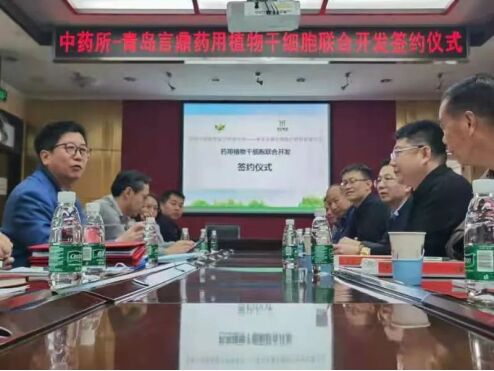 青岛言鼎药用植物干细胞与中国中医科学院中药研究所达成合作,朋友圈扩容
