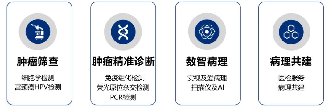 安必平一季度研发投入大增143%,病理图像分析软件成功上市