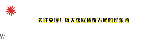 火爆吾爱论坛的四款必备软件推荐，附详细下载链接