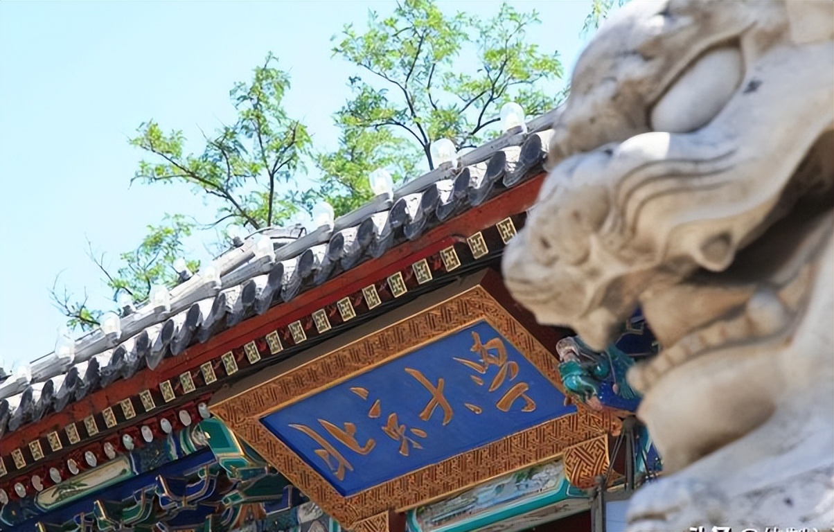 数理专业:最具就业前景的选择,高难度学习换来各行各业广泛需求
