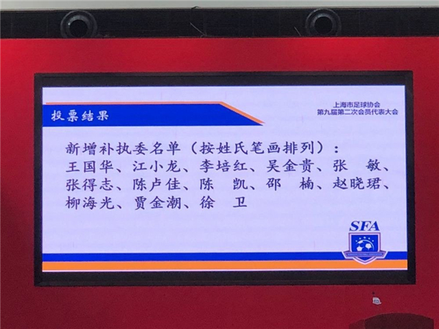 柳海光谈球迷文化与上海足协远程教练教学系统的发展
