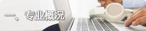 朝阳专业软件与信息服务:微网站与移动开发课程详解