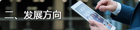 朝阳专业软件与信息服务:微网站与移动开发课程详解