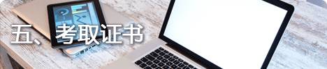 朝阳专业软件与信息服务:微网站与移动开发课程详解