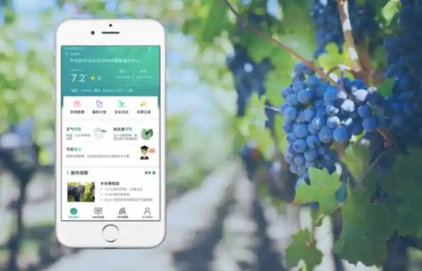智慧农业APP开发优势解析:提升农业效率与精准度的关键工具