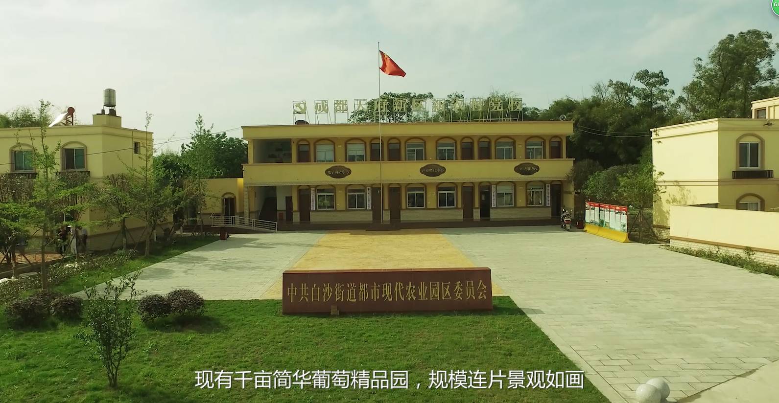 成都天府新区新规划:一湖一镇助力街道居民身价上涨