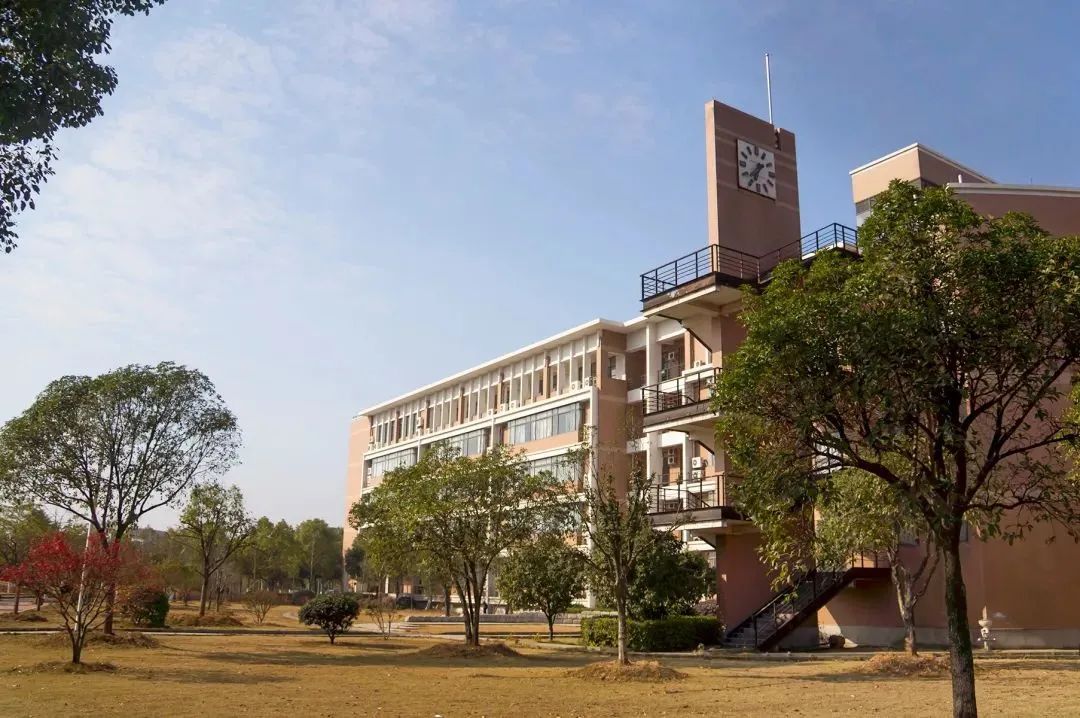 浙师教授谈软件工程(中外合作办学):代码改变世界,软件成就人生