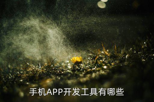 手机软件用什么软件开发？全面解析手机APP开发工具