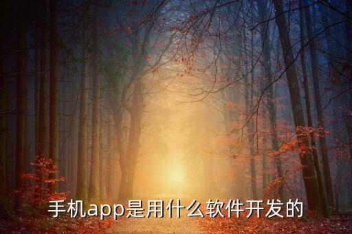 手机软件用什么软件开发?全面解析手机APP开发工具