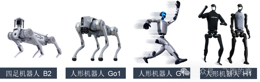 揭秘杭州奇迹:六小龙崛起背后的五大成功法宝解析