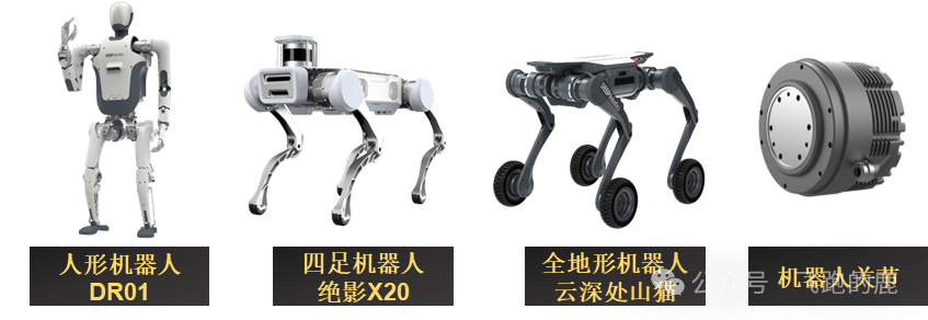 揭秘杭州奇迹:六小龙崛起背后的五大成功法宝解析