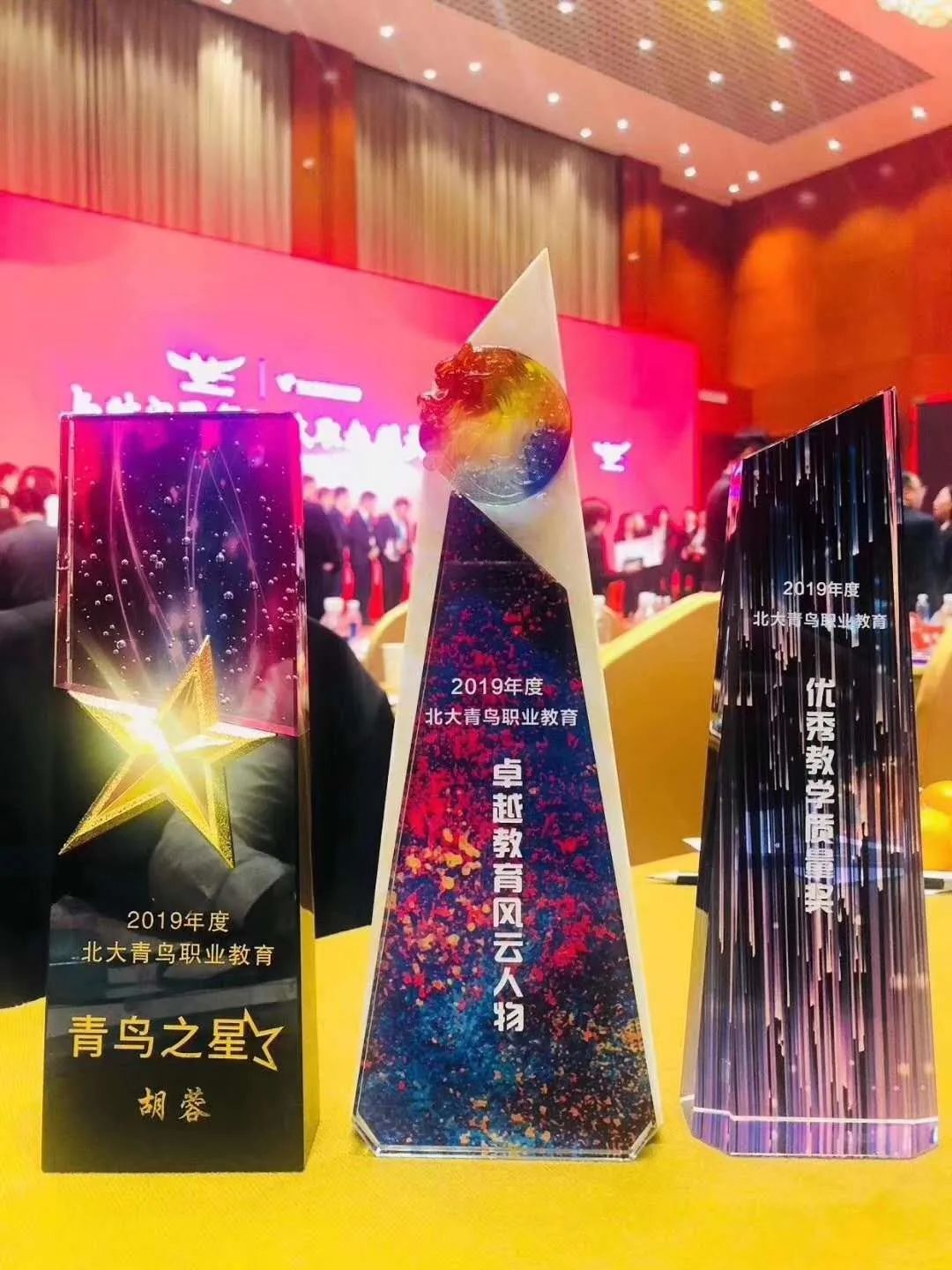 2020年北大青鸟岳阳海纳软件学院电商帮扶行动,免费学习电商技能