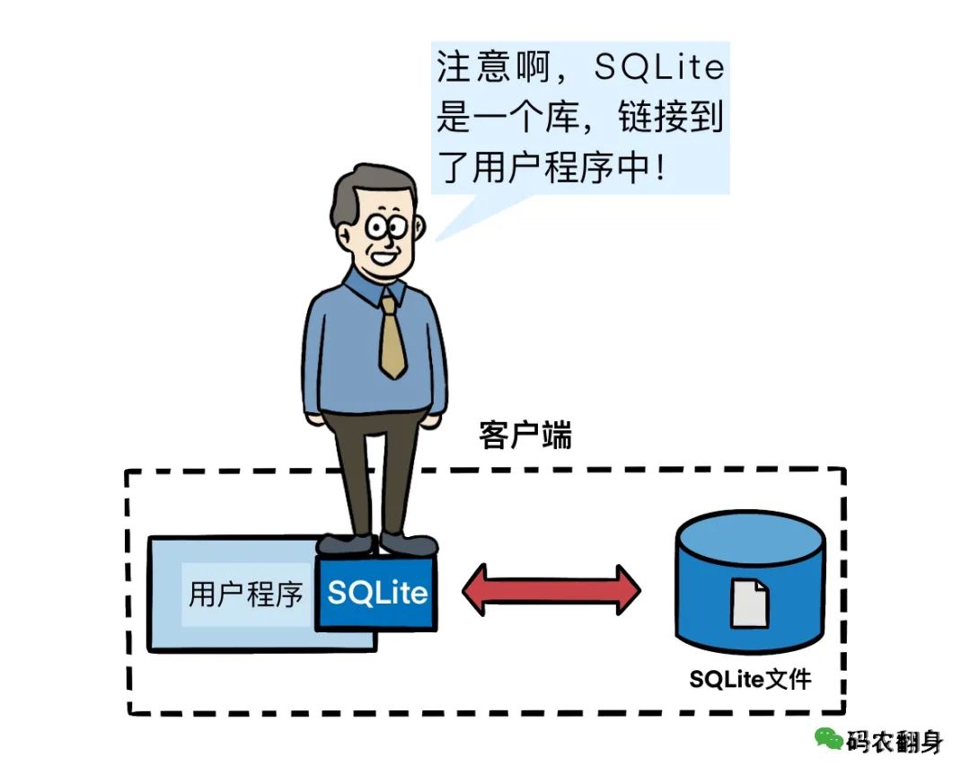 世界上最流行的软件开发者将公司股份100%赠予妻子