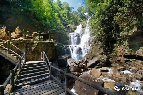 武夷山申遗成功20周年:旅游业发展历程与变化深度解析