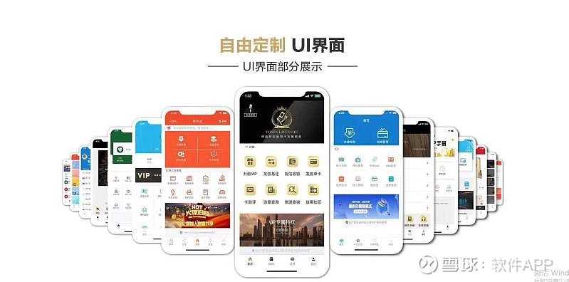 智能信卡代还软件APP开发指南:如何选择优质的软件开发公司