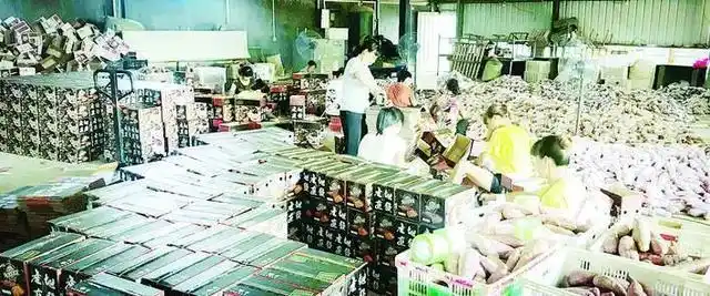 漳州生鲜电商与线上直播结合,发展势头强劲