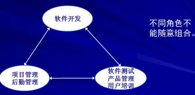 软件项目团队管理:第八章详细指南与最佳实践