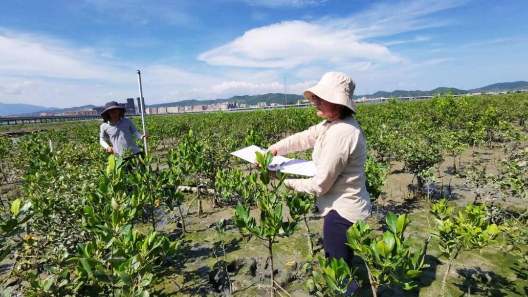 广东林勘她力量:南粤生态彩卷的绘制者与守护者