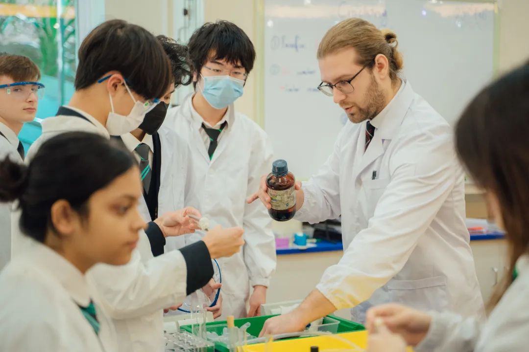 深度探校BSG:揭秘老牌国际学校的稳定之道与教育优势