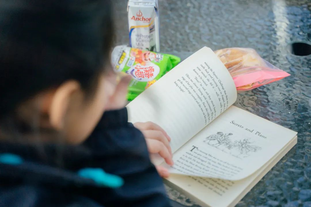 深度探校BSG:揭秘老牌国际学校的稳定之道与教育优势