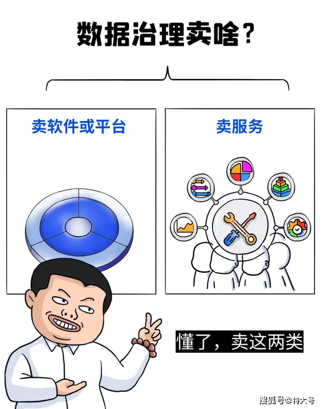 政府数据市场领先企业盘点:浪潮云、华为云、阿里云等顶级玩家一览