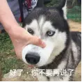 2024年嵌入式行业前景如何?新手转行嵌入式学习路径全解析