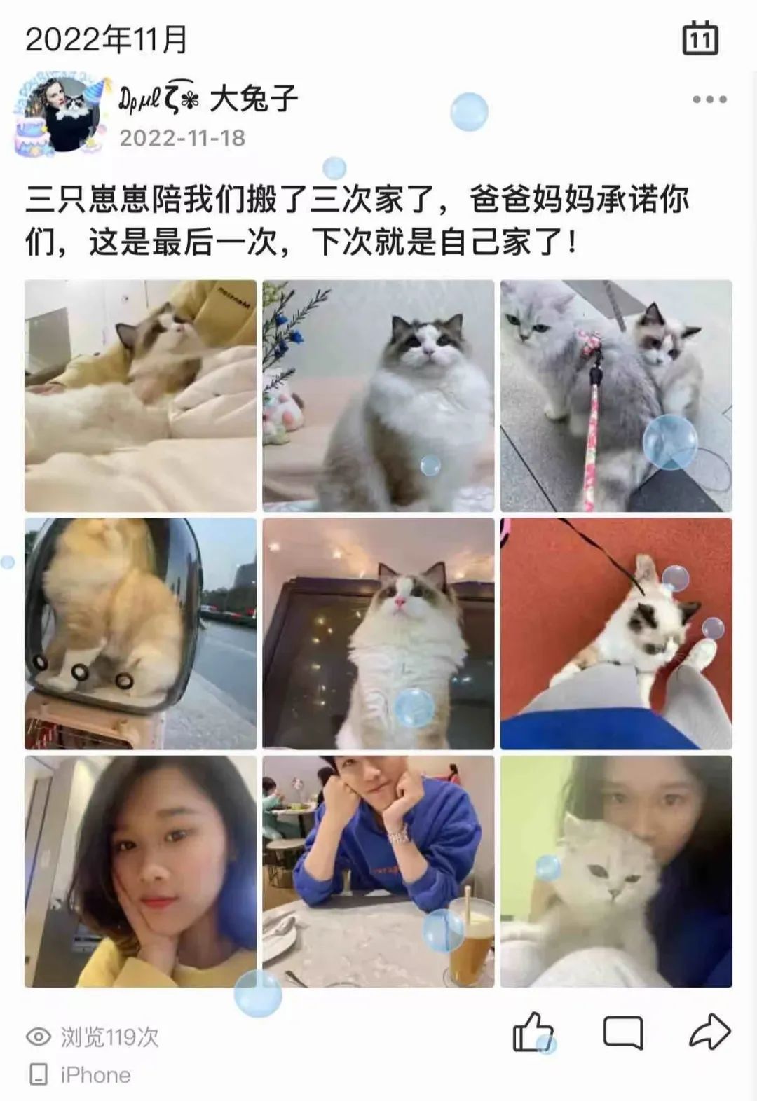 年轻人舍不得给自己花钱,却抢着给宠物拍写真的背后原因揭秘