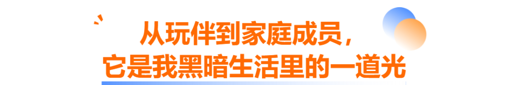 年轻人舍不得给自己花钱,却抢着给宠物拍写真的背后原因揭秘