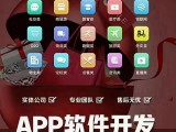 软件开发价格详解:如何合理预算和选择开发服务