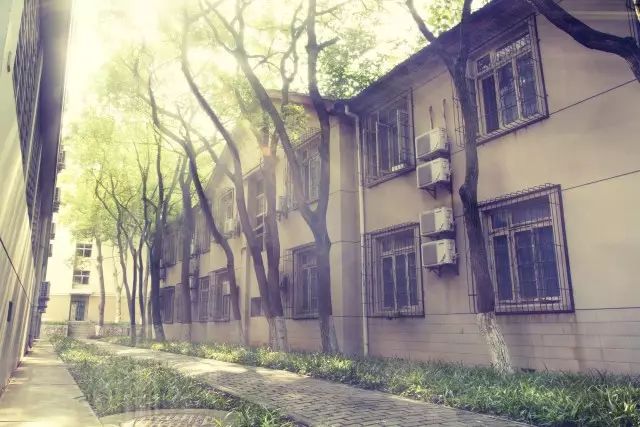 计算机学院简介:探索未来科技,培养IT精英人才