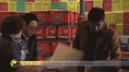 甘肃扶贫新举措:苹果网上热销,年入100万轻松实现