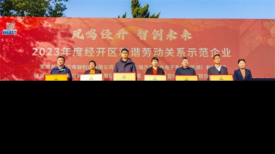 芜湖经开区2024年新春大型人才招聘会:凤鸣经开 智创未来专场