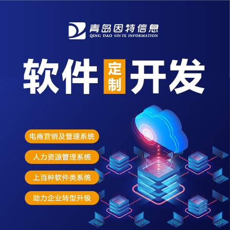 聊城市专业软件定制开发公司:交通管理系统软件开发服务