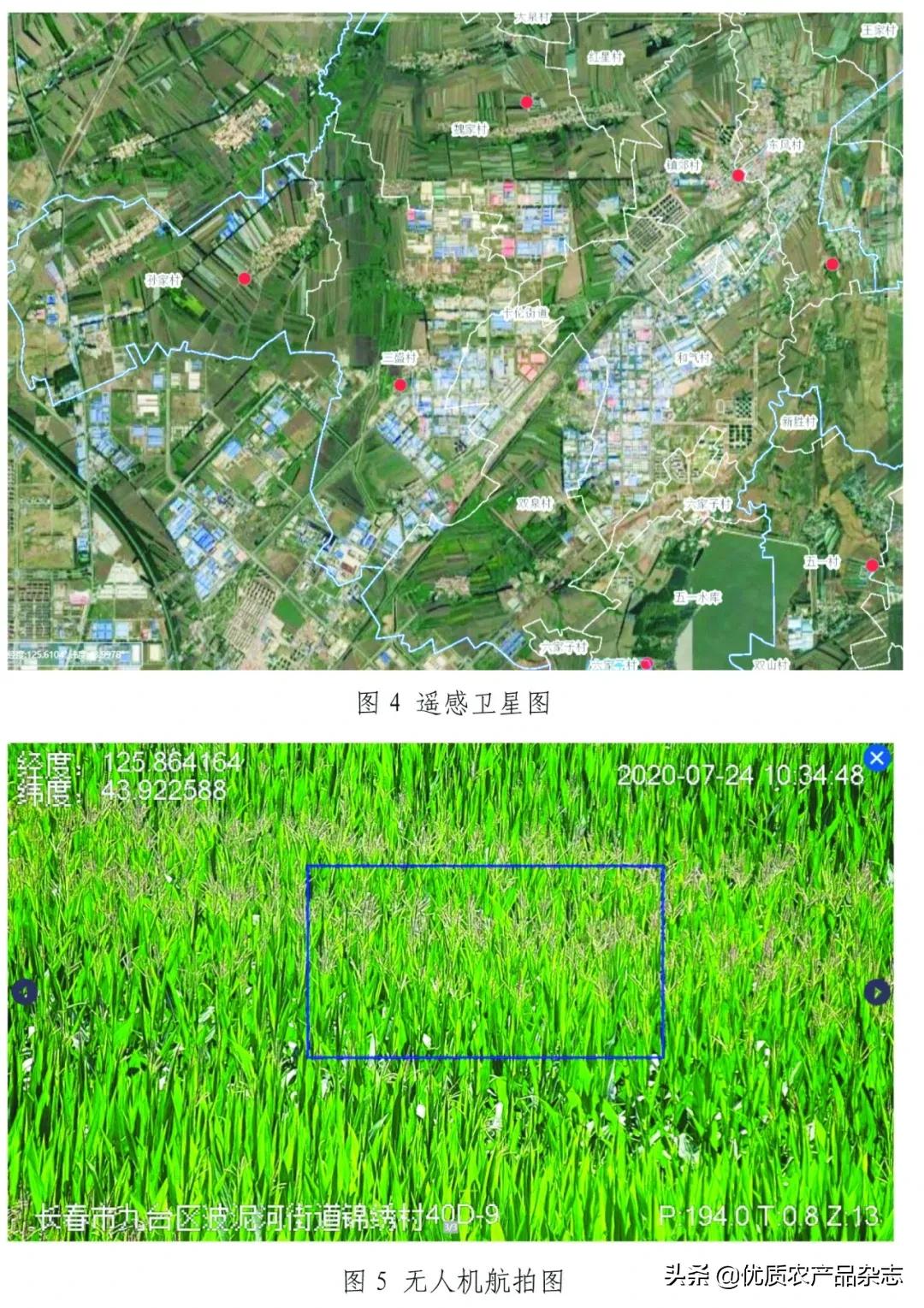 从农田到餐桌:区块链对农产品溯源现实困境的突破可能性