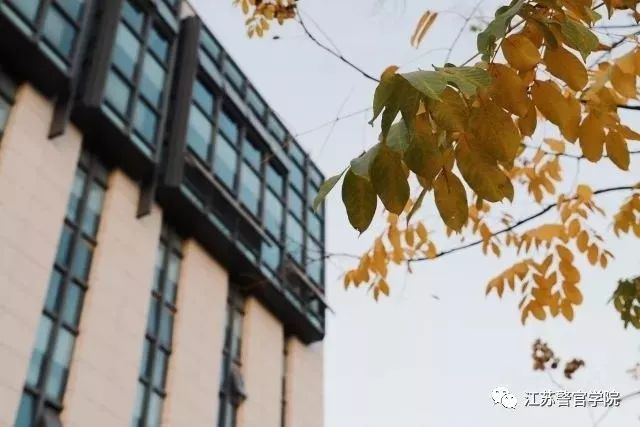 江苏科研管理机制改革三十条出台,助力科技创新发展