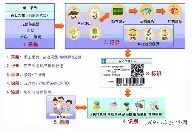 新乡市大喇叭网络技术有限公司:园区优秀企业介绍与业务发展概况