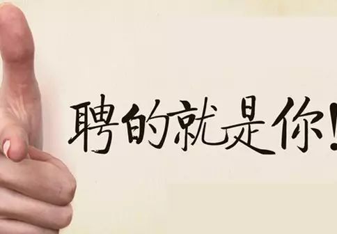 大濮网高薪招聘:诚邀各路人才加入,挑战高薪岗位