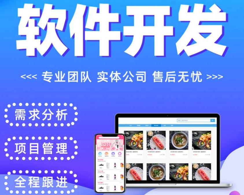 开发团队的专业技术水平和配置如何影响项目成功