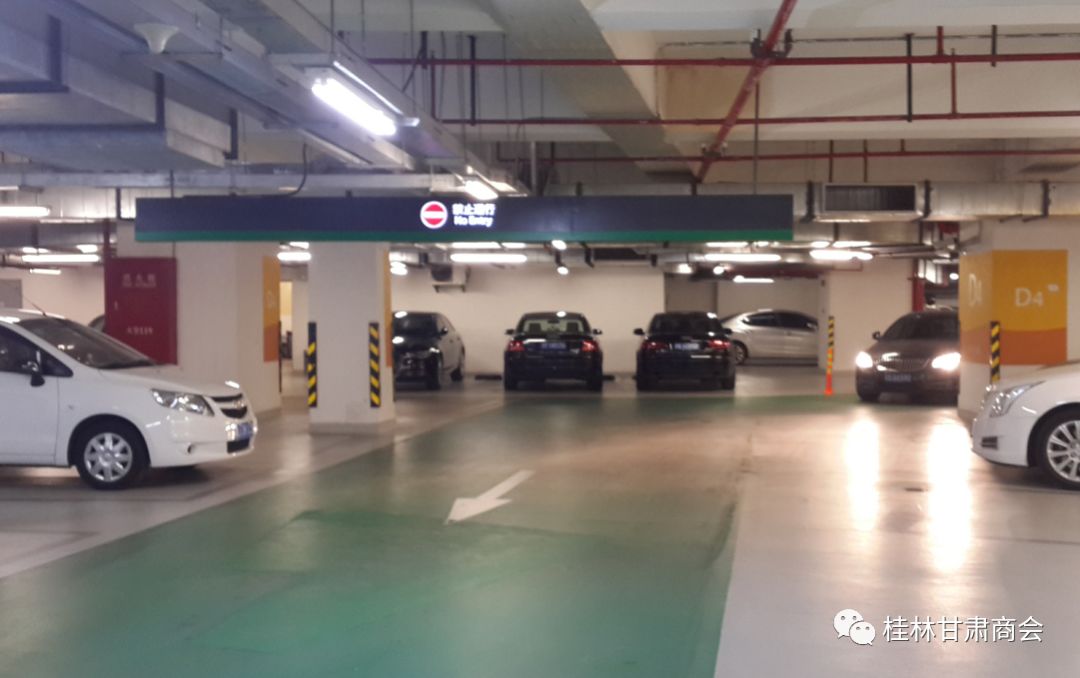 桂林甘肃商会领导走访企业会员 凝聚商会力量倾听会员心声搭建发展平台