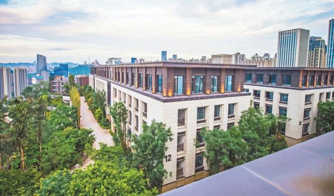 渝中区全力助推重庆打造中国软件特色名城,引领产业创新发展