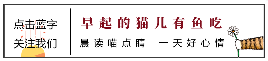 针锋相对!如何应对职场中的激烈竞争与挑战