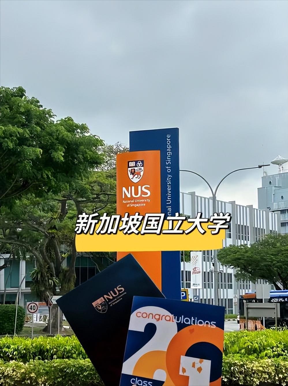 软件工程专业需要学习哪些内容?全面解析软件工程核心课程与技能