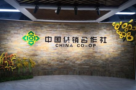 诚企名品石家庄东区供销有限公司:优质产品与服务供应商