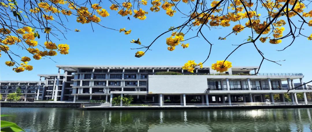 东职院2023年高考录取分数线预测及热门专业报考指南