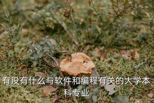 编程类专业大全:掌握编程技能后可以选择哪些热门专业?