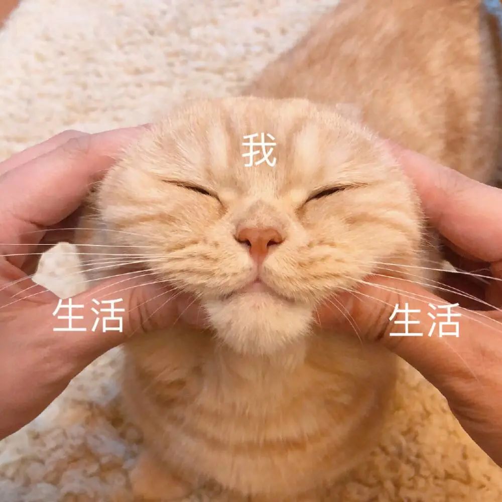 武汉招聘上千人!高中起报,教师、护士、消防员、厨师等多岗位热招中