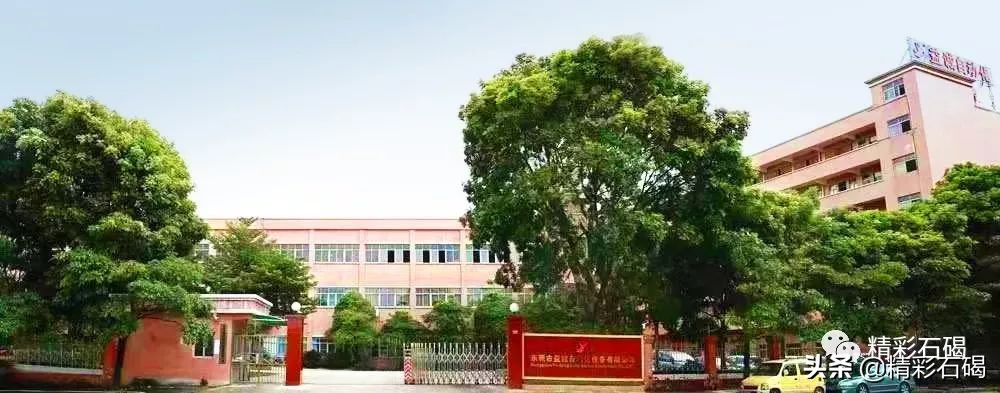 东莞益诚:怀揣壮志,立志成为中国自动化行业领军企业