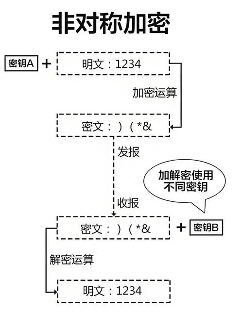 软件开发中源码加密的重要性及加密工具选择考量？
